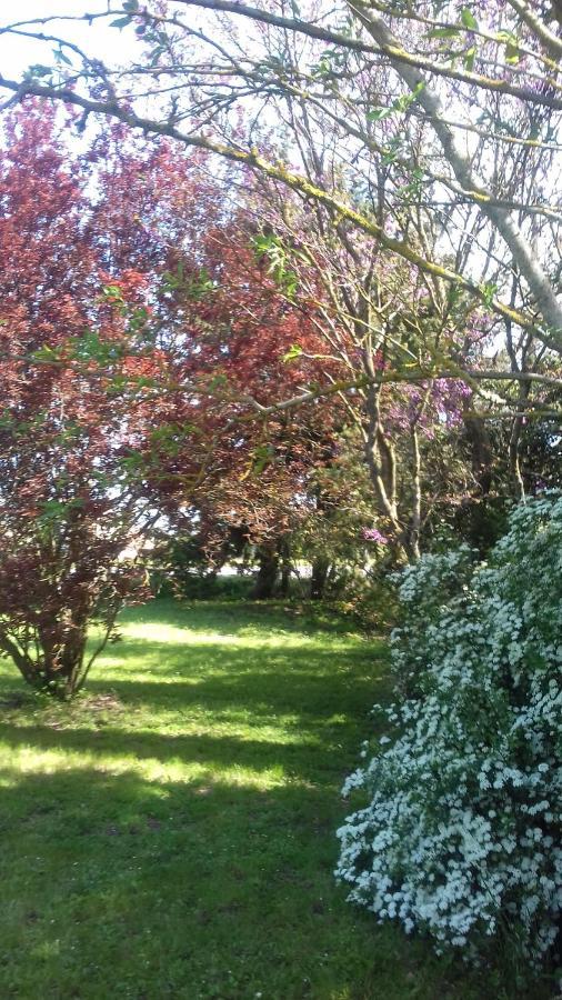 Bed and Breakfast La Madeleine Pezens Exterior foto