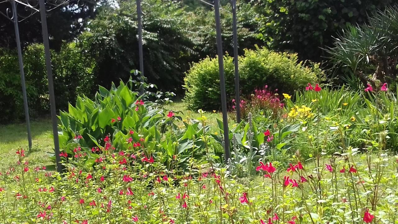 Bed and Breakfast La Madeleine Pezens Exterior foto